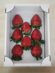 小箱(1トレー入り)