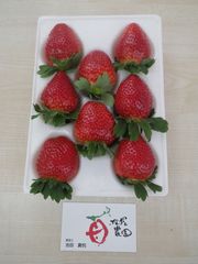 8粒トレー(1800円)
