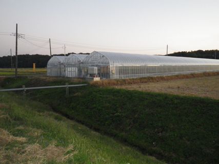 [写真/2012年10月21日時点の農園の様子]