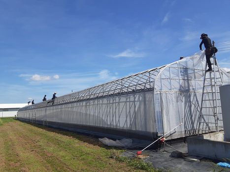 [ʐ^/2025N925_̔_̗lq]