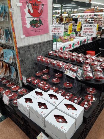 [�ʐ^/2026�N1��1�����_�̔_���̗l�q]